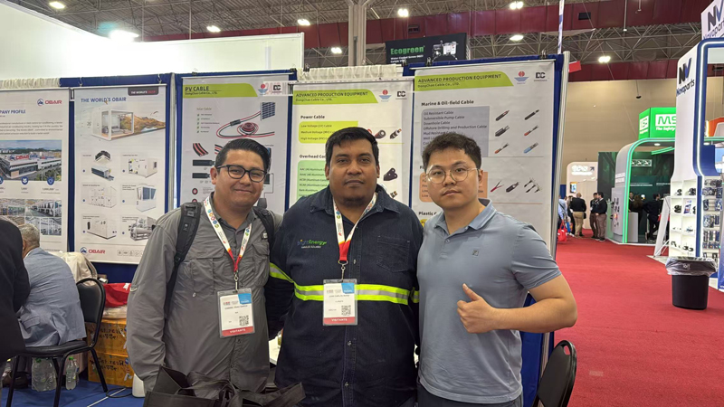 The Power And New Energy Exhibition (Mexico) The Power And New Energy Exhibition (Mexico)