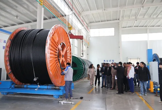 underground phone wire