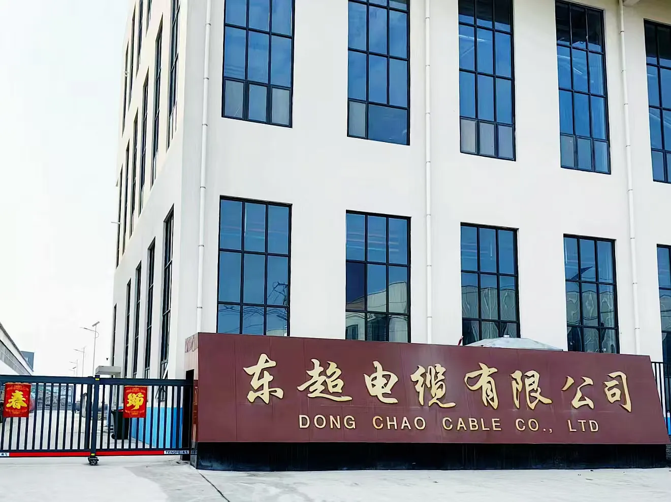 Company Profile