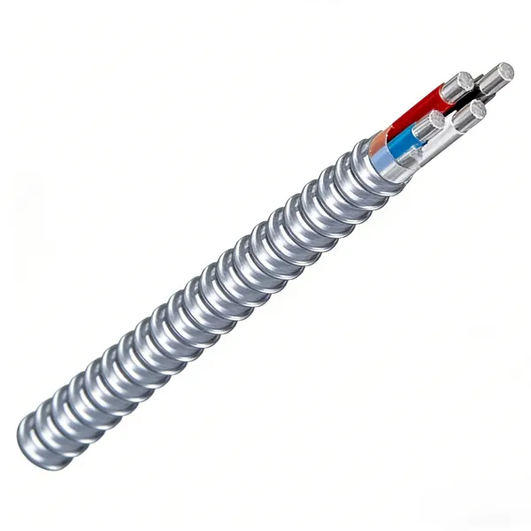 armoured cable outside socket