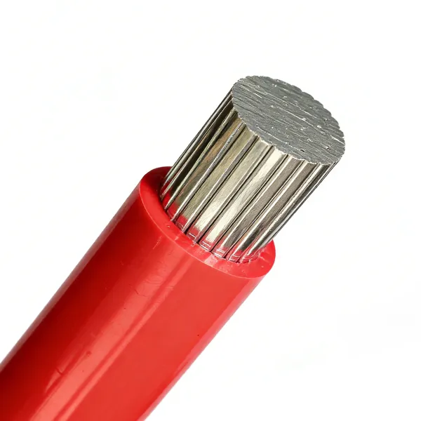 dongchaocable wiring of a building